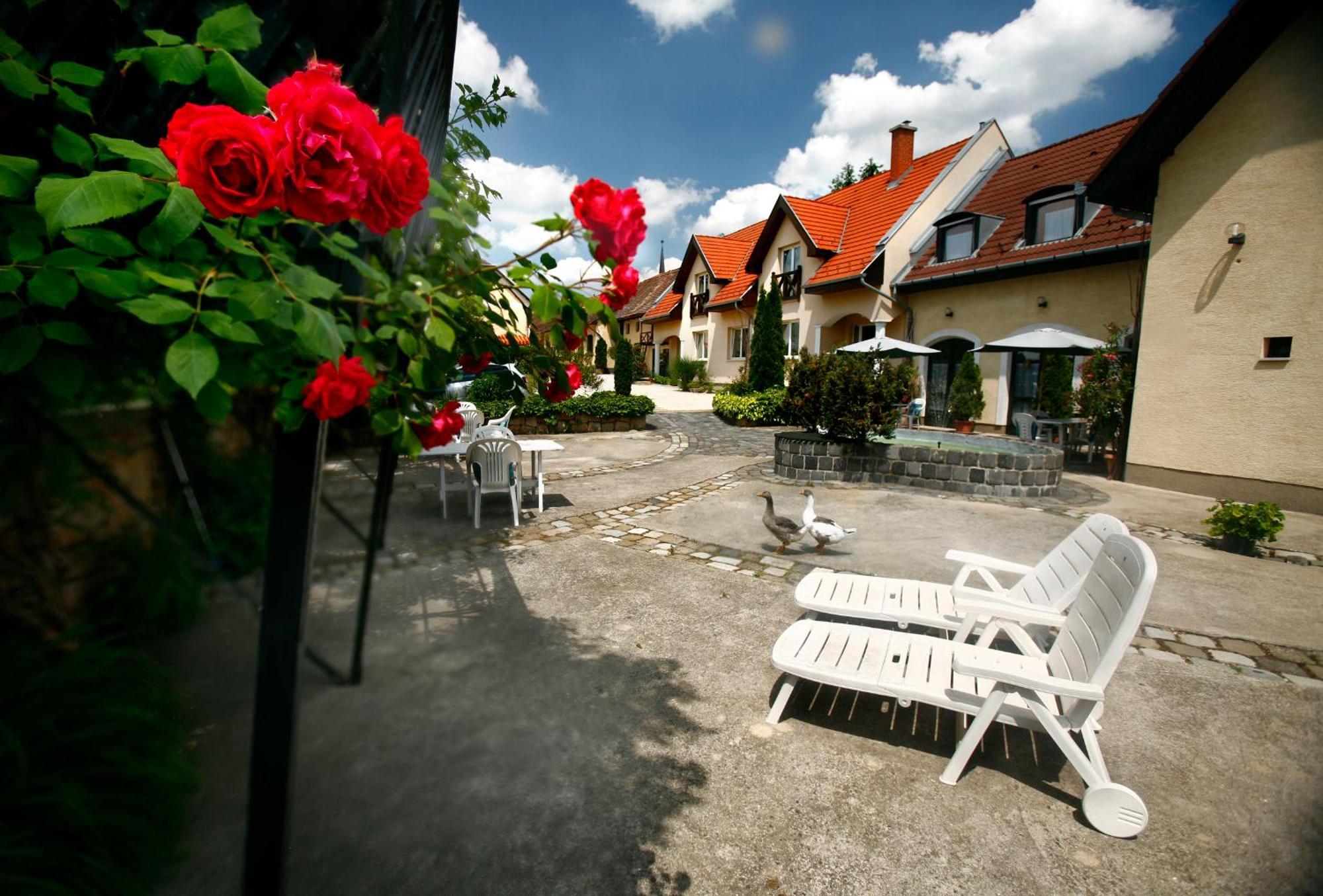 Keszi Panzio Hotel Budakeszi Buitenkant foto