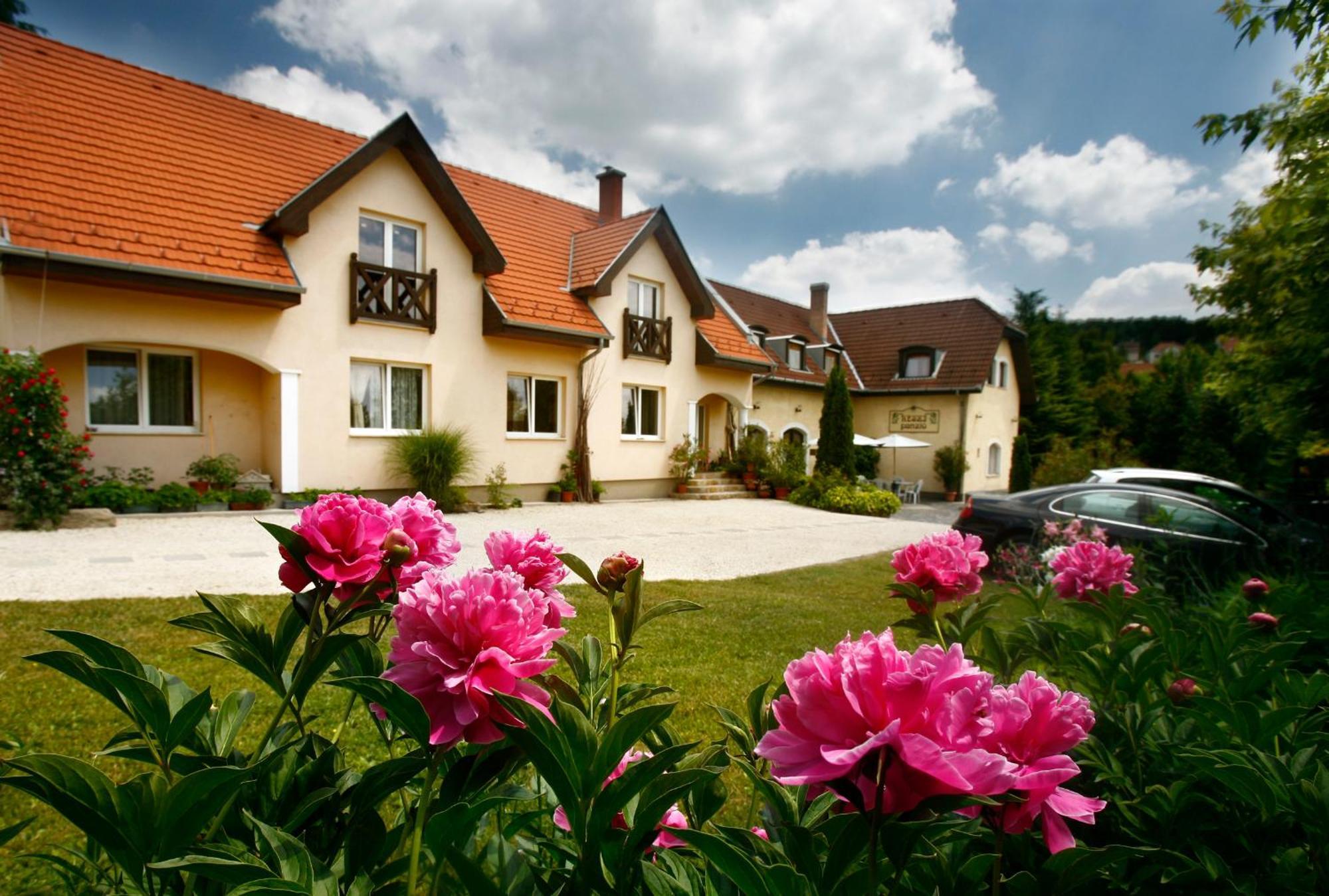 Keszi Panzio Hotel Budakeszi Buitenkant foto